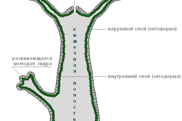 Сайт кракен официальный ссылка onion